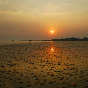 Alibaug