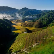 Ziro Valley Arunachal - holiday Links