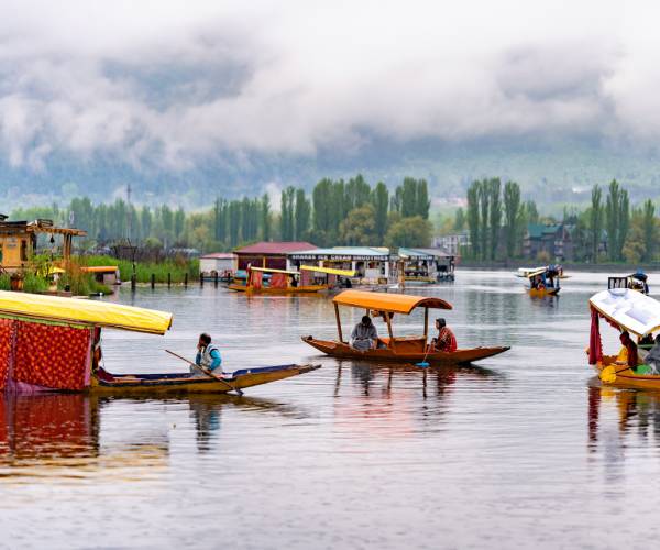 Kashmir