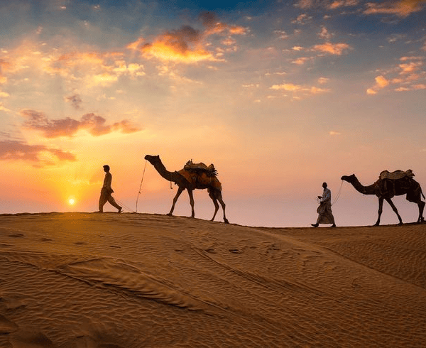 Jaipur – Khatu Shyam Ji – Jodhapur – Jaisalmer